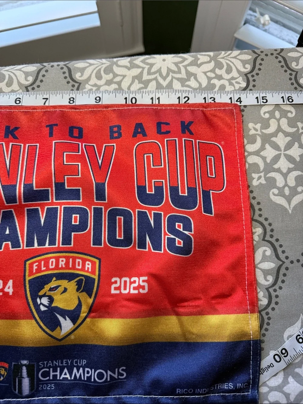 NHL florida panthers